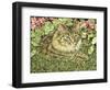 Tiger-Jan Benz-Framed Giclee Print