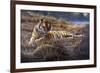 Tiger-Jeremy Paul-Framed Giclee Print