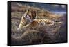 Tiger-Jeremy Paul-Framed Stretched Canvas