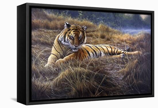 Tiger-Jeremy Paul-Framed Stretched Canvas