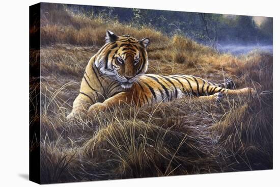 Tiger-Jeremy Paul-Stretched Canvas