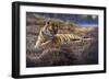 Tiger-Jeremy Paul-Framed Giclee Print