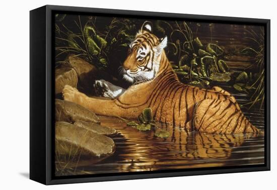 Tiger-Michael Jackson-Framed Stretched Canvas