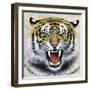 Tiger-Harro Maass-Framed Giclee Print