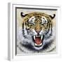 Tiger-Harro Maass-Framed Giclee Print