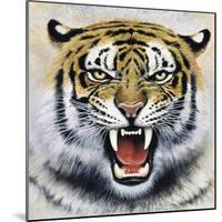 Tiger-Harro Maass-Mounted Giclee Print