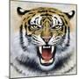 Tiger-Harro Maass-Mounted Giclee Print