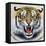 Tiger-Harro Maass-Framed Stretched Canvas