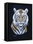 Tiger-Richard Burns-Framed Stretched Canvas