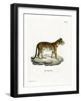 Tiger-null-Framed Giclee Print