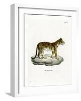 Tiger-null-Framed Giclee Print