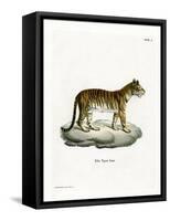 Tiger-null-Framed Stretched Canvas