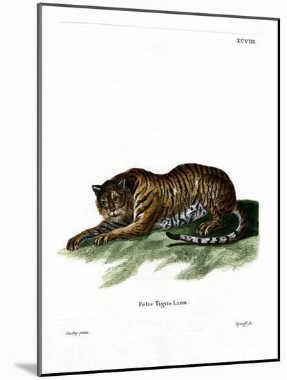 Tiger-null-Mounted Giclee Print