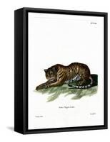 Tiger-null-Framed Stretched Canvas