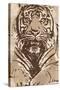 Tiger-Andrew Cooper-Stretched Canvas