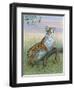 Tiger-Ron Jenkins-Framed Art Print