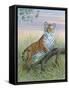 Tiger-Ron Jenkins-Framed Stretched Canvas