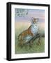 Tiger-Ron Jenkins-Framed Art Print