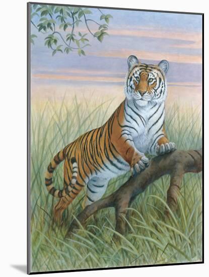 Tiger-Ron Jenkins-Mounted Art Print