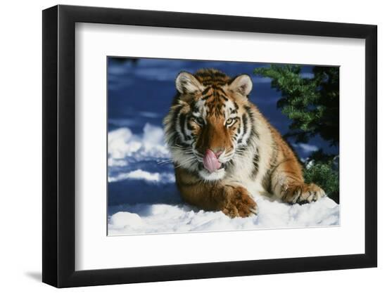 Photographic Print, , large