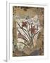Tigerlily and Lace-David Hewitt-Framed Giclee Print