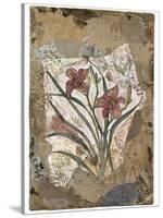 Tigerlily and Lace-Annabel Hewitt-Stretched Canvas