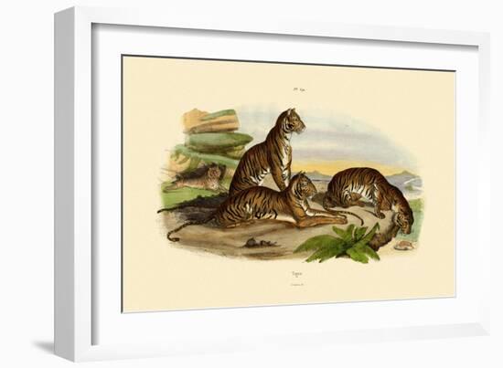 Tigers, 1833-39-null-Framed Giclee Print