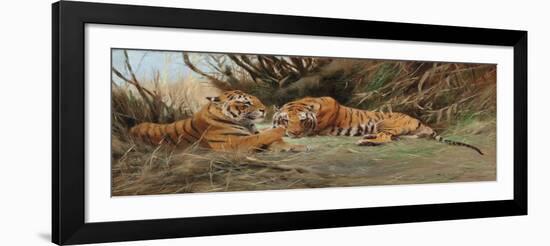 Tigers at Dawn, 1913-Wilhelm Kuhnert-Framed Giclee Print