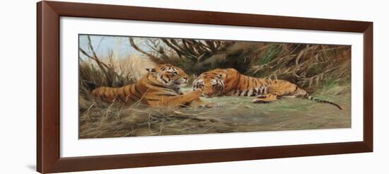 Tigers at Dawn, 1913-Wilhelm Kuhnert-Framed Giclee Print