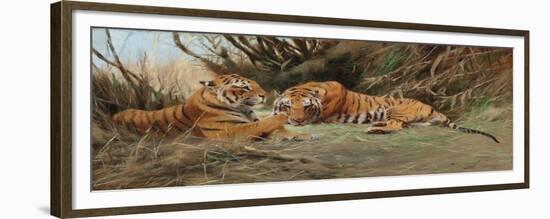 Tigers at Dawn, 1913-Wilhelm Kuhnert-Framed Giclee Print
