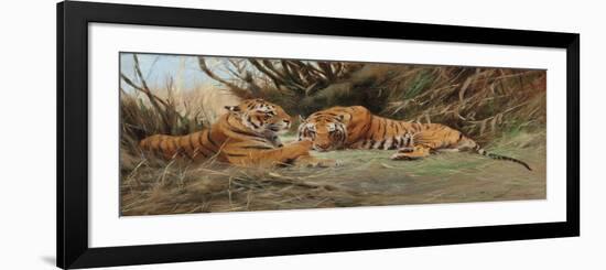 Tigers at Dawn, 1913-Wilhelm Kuhnert-Framed Giclee Print