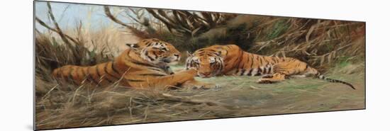 Tigers at Dawn, 1913-Wilhelm Kuhnert-Mounted Giclee Print