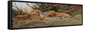 Tigers at Dawn, 1913-Wilhelm Kuhnert-Framed Stretched Canvas