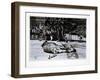 Tigers at London Zoo, 1870S-English Photographer-Framed Giclee Print