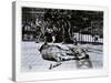 Tigers at London Zoo, 1870S-English Photographer-Stretched Canvas