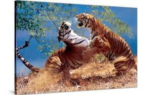 Tigers Fighting-null-Stretched Canvas