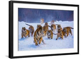 Tigers in Snow-Lantern Press-Framed Art Print