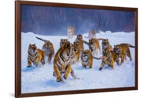 Tigers in Snow-Lantern Press-Framed Art Print