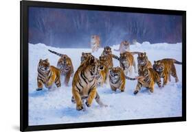 Tigers in Snow-Lantern Press-Framed Art Print