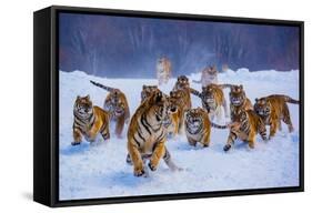 Tigers in Snow-Lantern Press-Framed Stretched Canvas