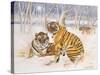 Tigers in the Snow, 2005-E.B. Watts-Stretched Canvas