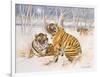 Tigers in the Snow, 2005-E.B. Watts-Framed Giclee Print