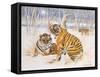 Tigers in the Snow, 2005-E.B. Watts-Framed Stretched Canvas