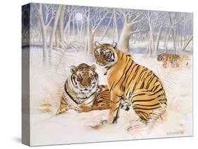 Tigers in the Snow, 2005-E.B. Watts-Stretched Canvas