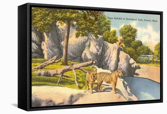 Tigers in Zoo, Detroit, Michigan-null-Framed Stretched Canvas