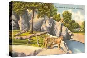 Tigers in Zoo, Detroit, Michigan-null-Stretched Canvas