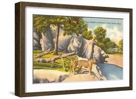 Tigers in Zoo, Detroit, Michigan-null-Framed Art Print