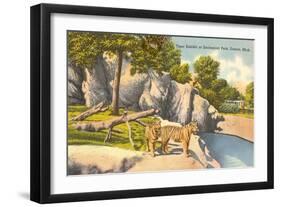 Tigers in Zoo, Detroit, Michigan-null-Framed Art Print