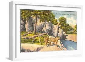 Tigers in Zoo, Detroit, Michigan-null-Framed Art Print