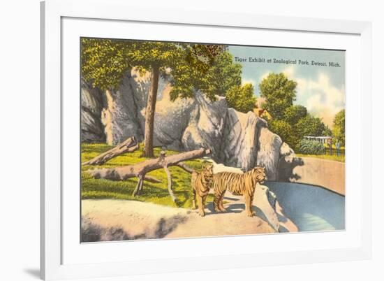 Tigers in Zoo, Detroit, Michigan-null-Framed Art Print